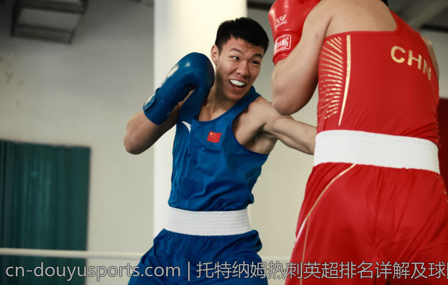 托特纳姆热刺英超排名详解及球队表现亮点总结