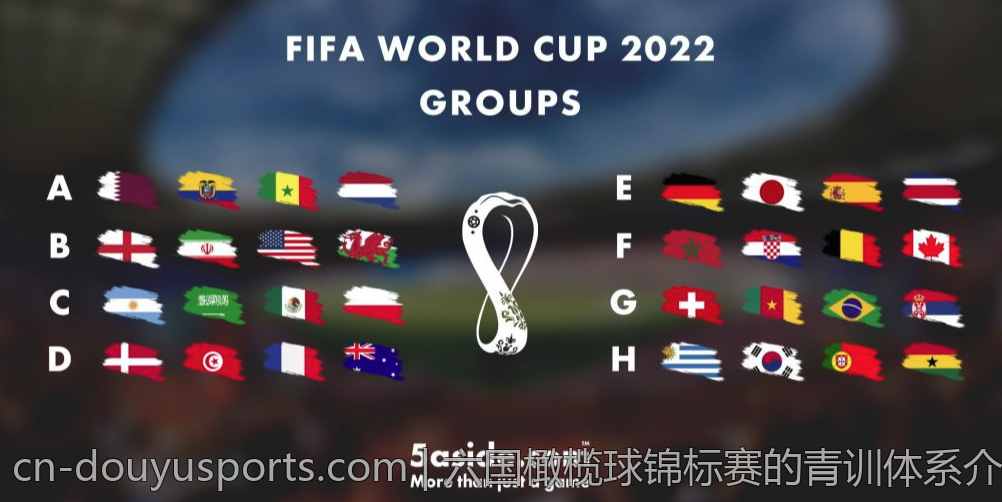 六国橄榄球锦标赛的青训体系介绍